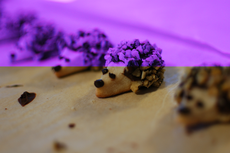Illustration for article titled Hedgehog Cookies